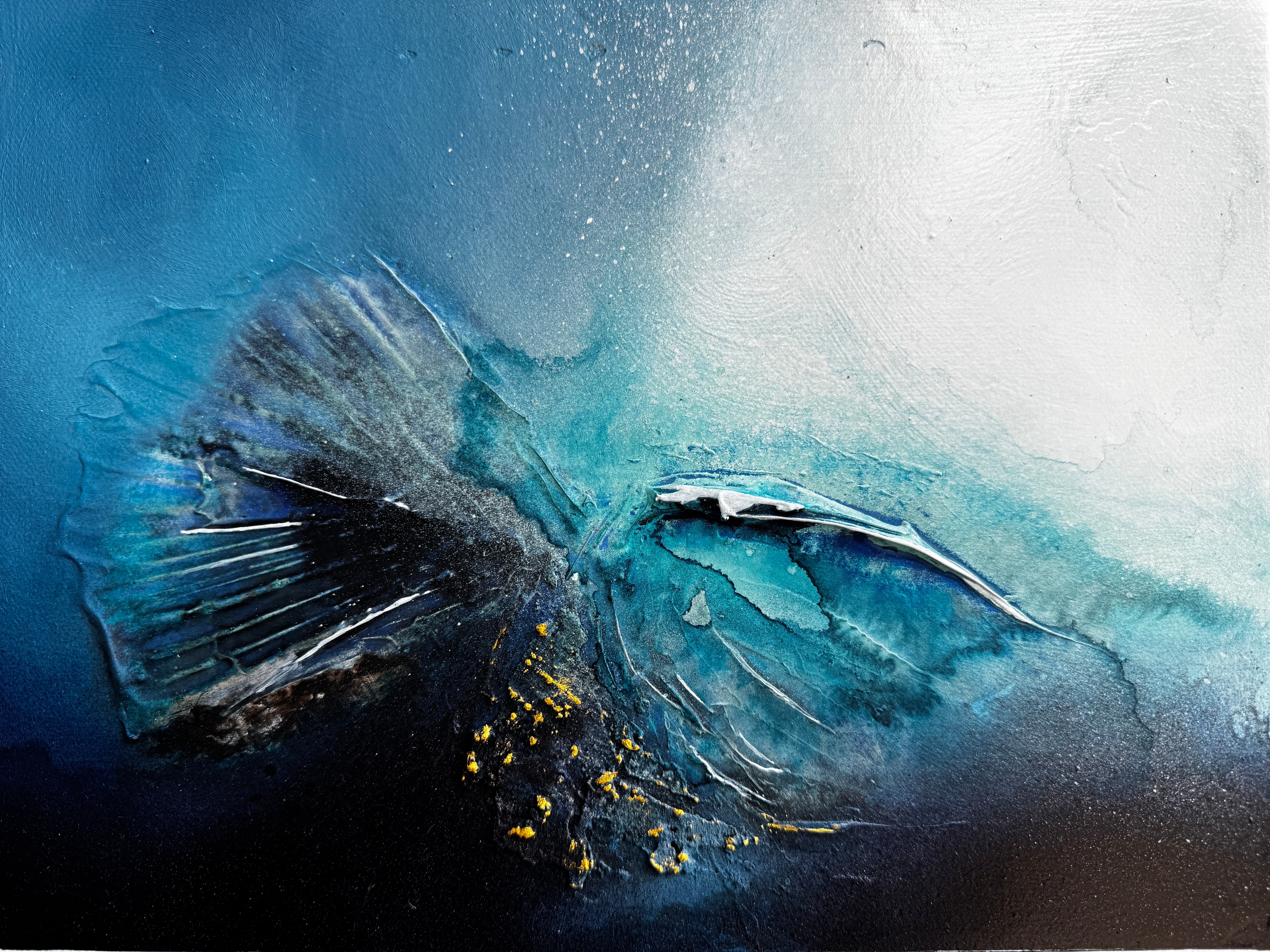 Midnight Drift