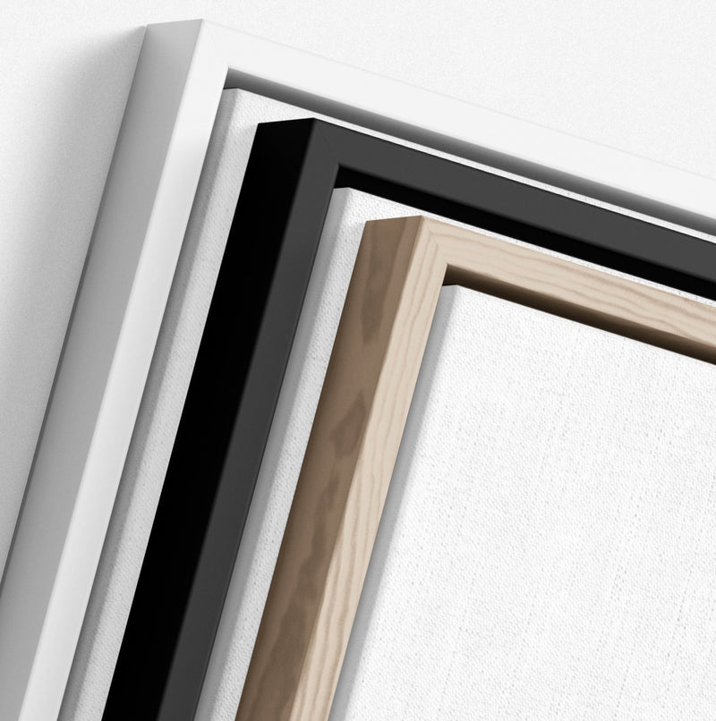 Professionally Framed Canvas
